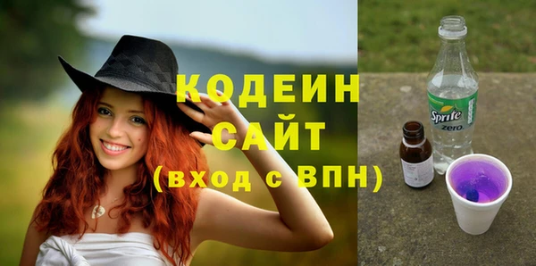 ешки Гусь-Хрустальный