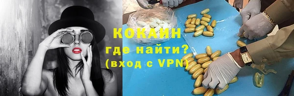 ПСИЛОЦИБИНОВЫЕ ГРИБЫ Инта