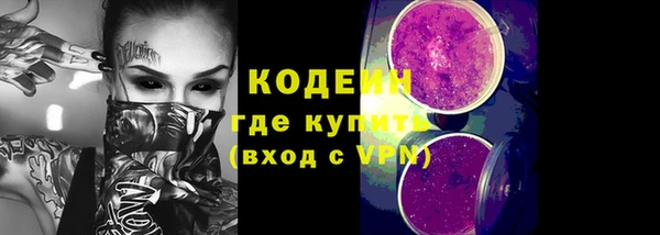 ешки Гусь-Хрустальный