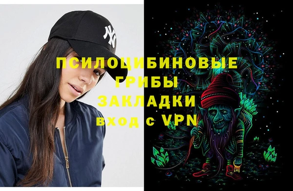 ешки Гусь-Хрустальный