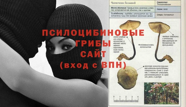 стафф Инсар
