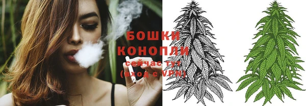 винт Гусиноозёрск