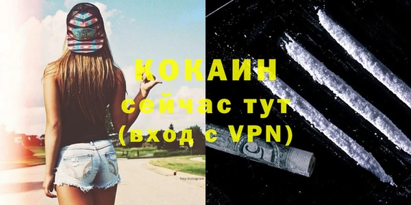 ешки Гусь-Хрустальный